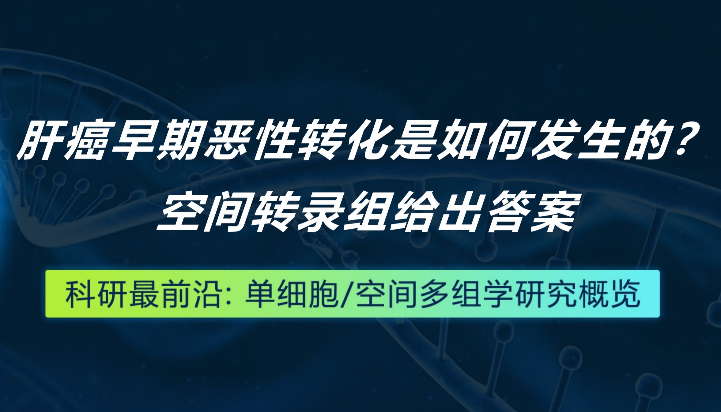 Cancer Cell丨肝癌早期恶性转化是如何发生的？空间转录组给出答案