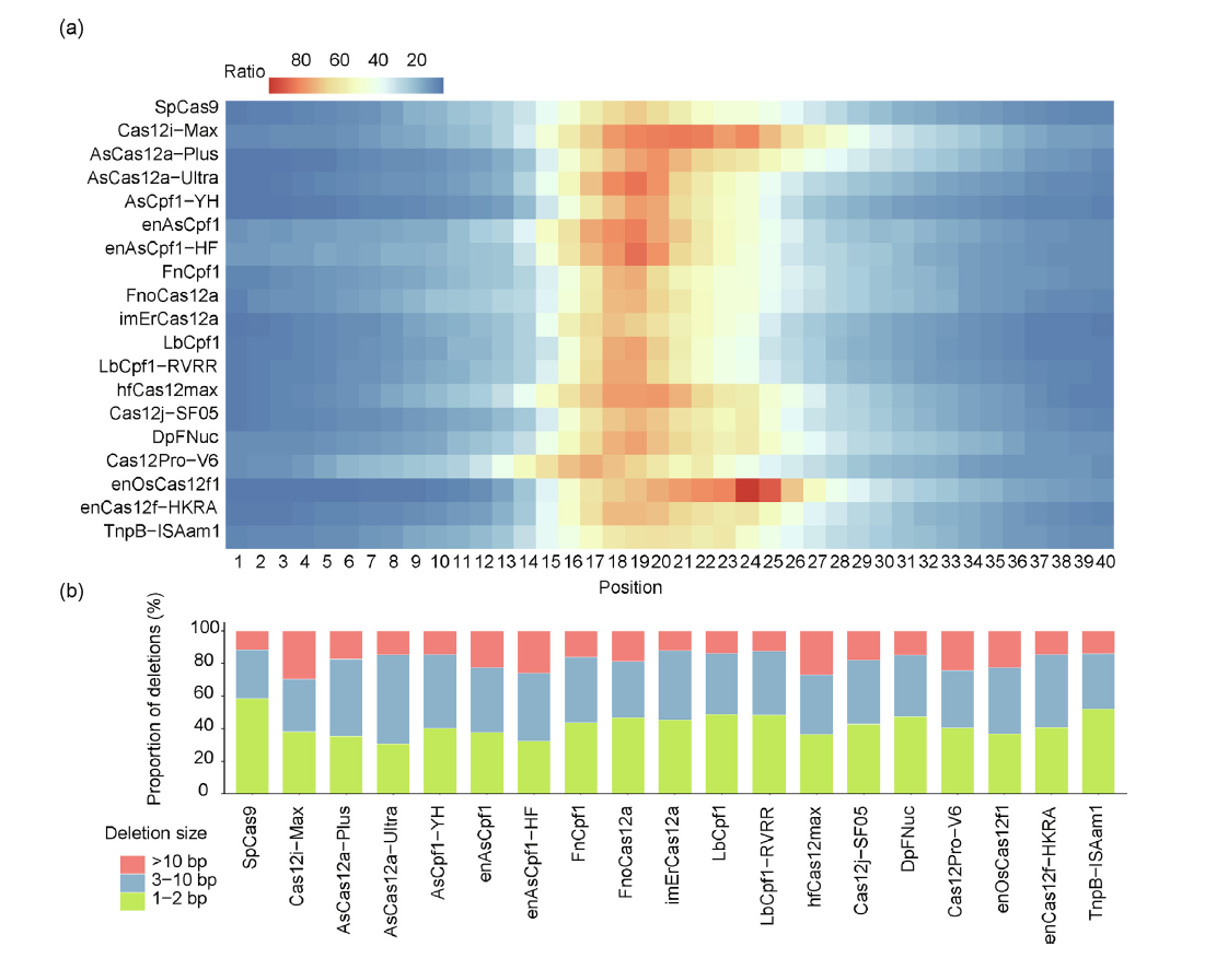 50种RNA引导核酸酶大比拼！谁才是基因编辑的“全能选手”？ - 企业动态 - 丁香通