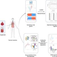 科研绘图&科研修图
