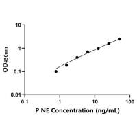 猪中性粒细胞弹性蛋白酶(NE)ELISA试剂盒