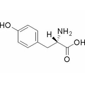 L-酪氨酸产品图
