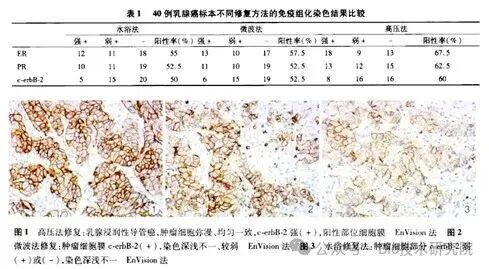 石蜡切片免疫组化染色，抗原修复的“非玄学”细节清单