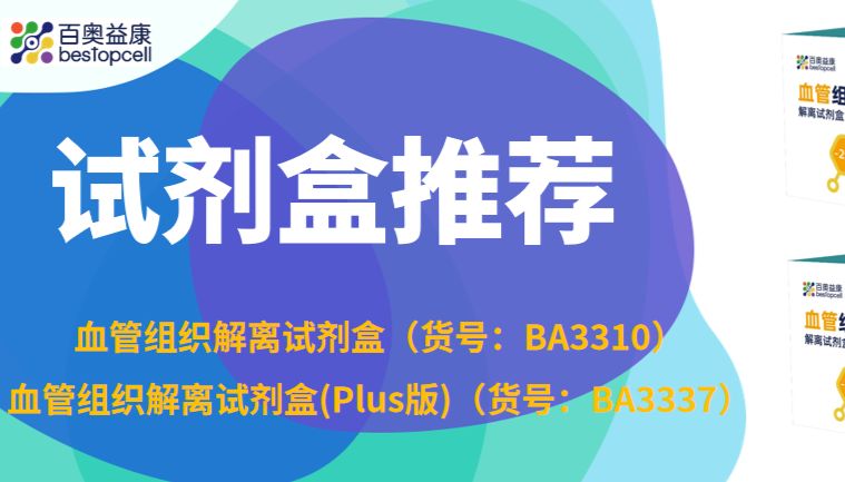 产品推荐 | 血管解离太难了？这款双版本试剂盒，轻松搞定高低难度血管组织！