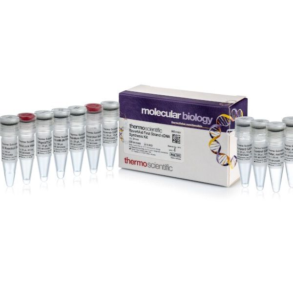 Thermo Scientific(Fermentas)货号K1621现货RevertAid First Strand cDNA Synthesis Kit上海睿安生物19121878899