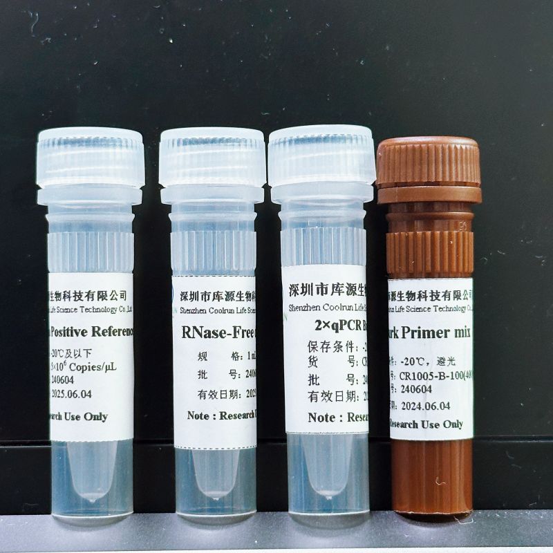 CR1005-B-100免提取洋葱伯克霍尔德菌检测试剂盒(qPCR法)