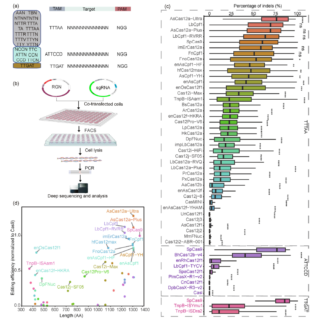 50种RNA引导核酸酶大比拼！谁才是基因编辑的“全能选手”？ - 企业动态 - 丁香通