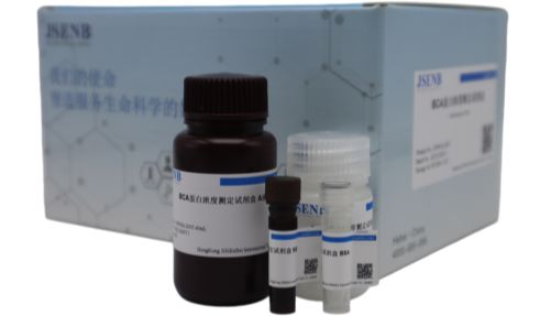 BCA蛋白浓度测定试剂盒使用手册
