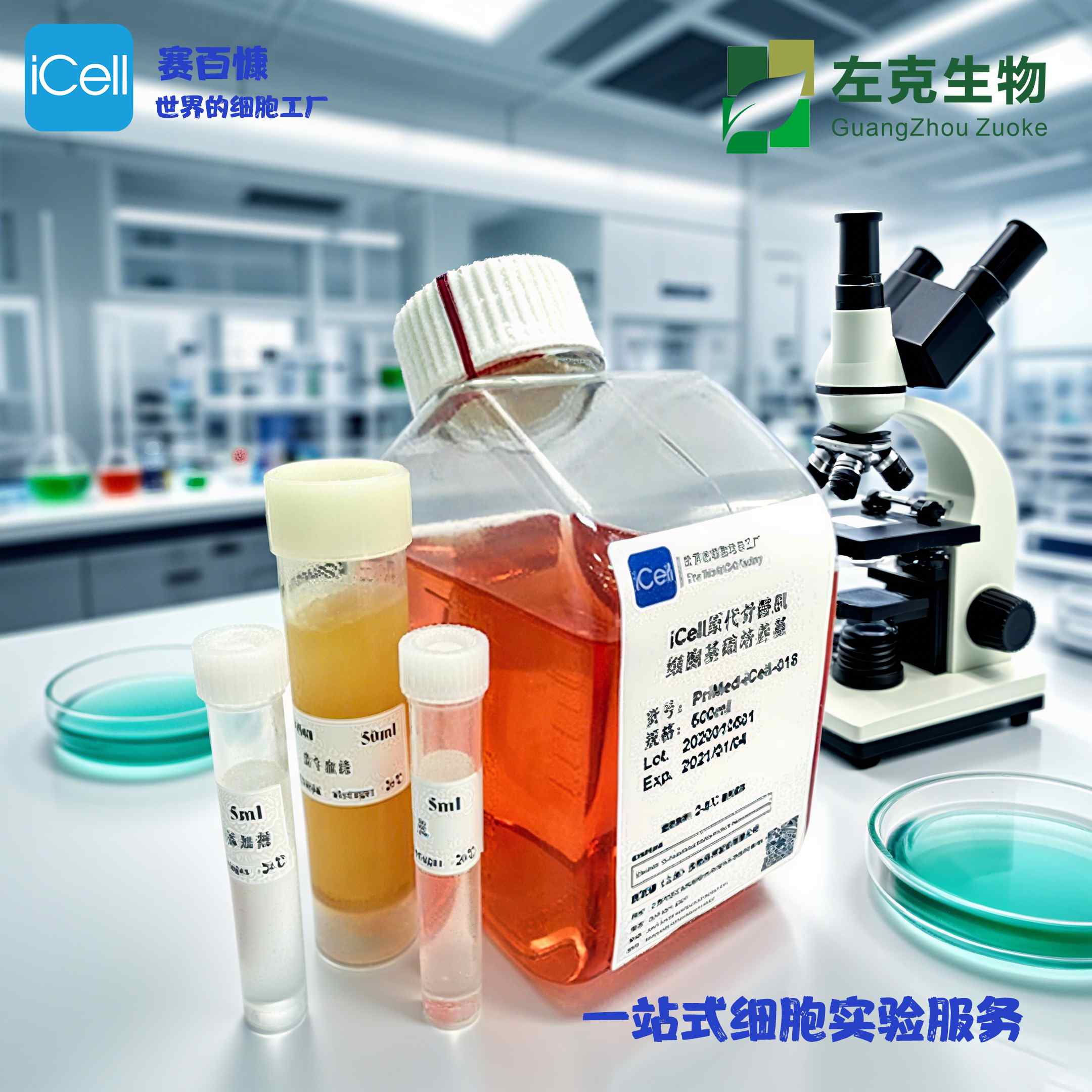 HUVEC细胞专用培养基
