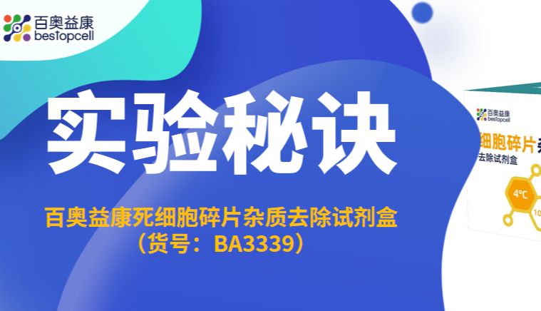 实验秘诀 | 高效去除死细胞与碎片 —— 白膜层分离方法