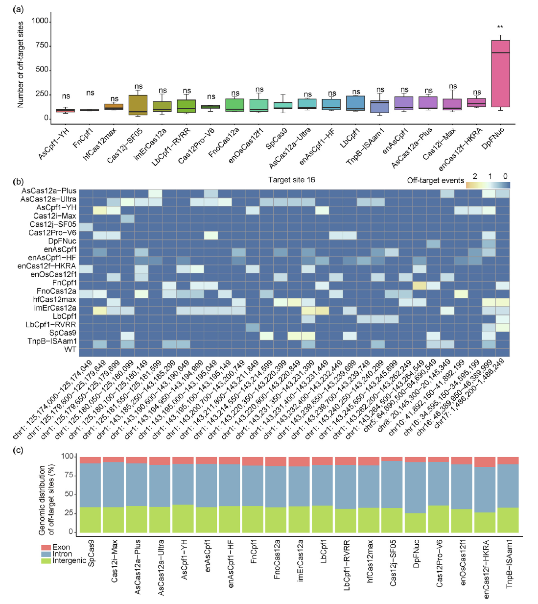 50种RNA引导核酸酶大比拼！谁才是基因编辑的“全能选手”？ - 企业动态 - 丁香通