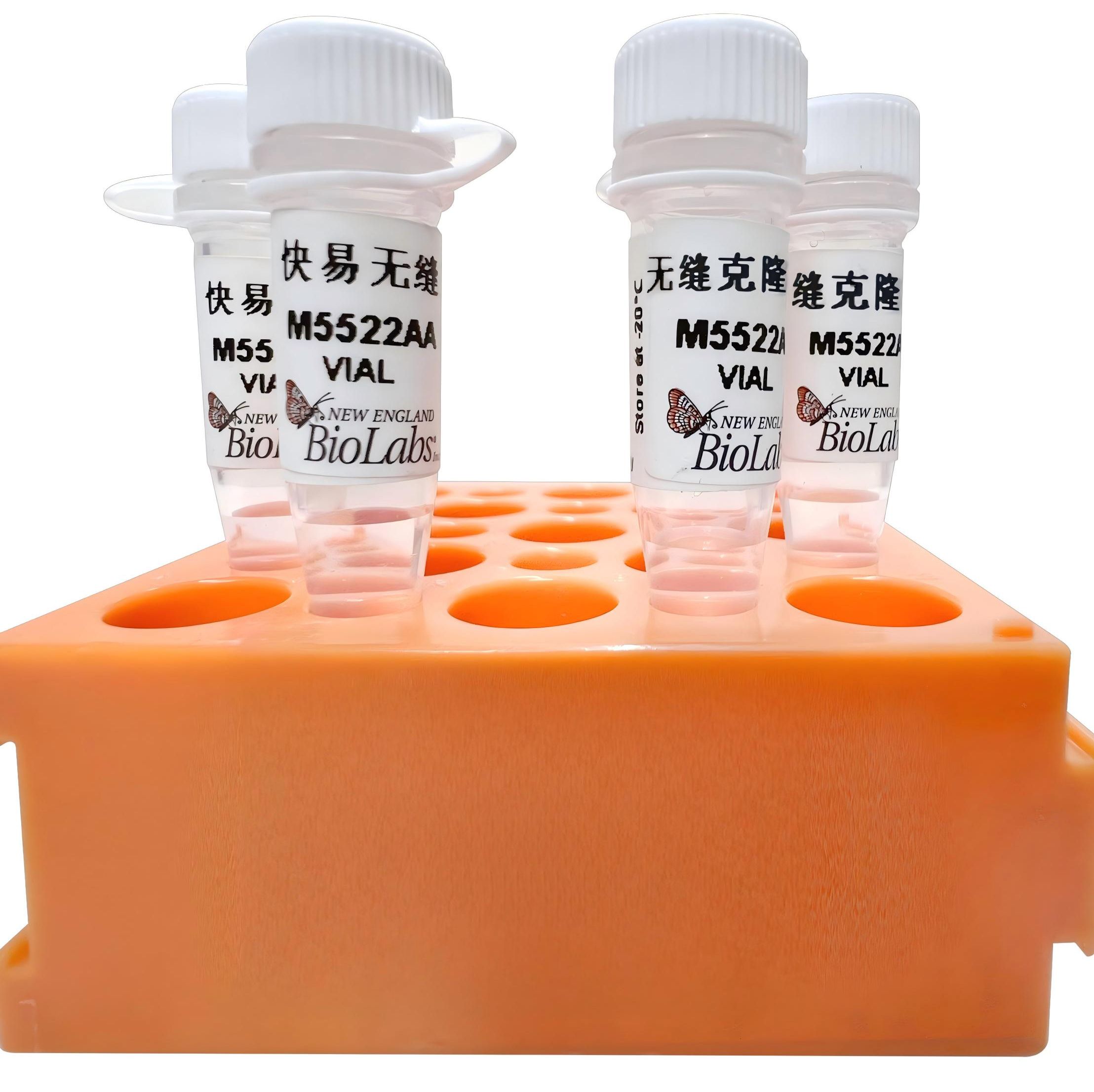 NEB	M5522	快易无缝克隆预混液
