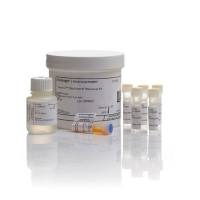 R11490赛默飞Quant-iT RiboGreen RNA试剂盒Thermo Invitrogen