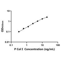 猪I型胶原蛋白(ColⅠ)ELISA试剂盒