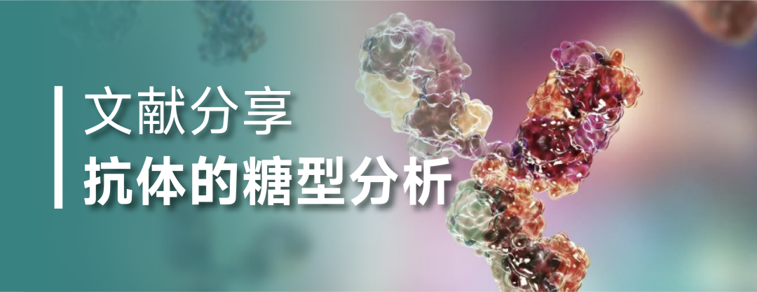 FcR亲和色谱柱在非对称糖链型抗体分析中的应用