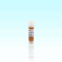 Protein A琼脂糖磁珠 70814-5