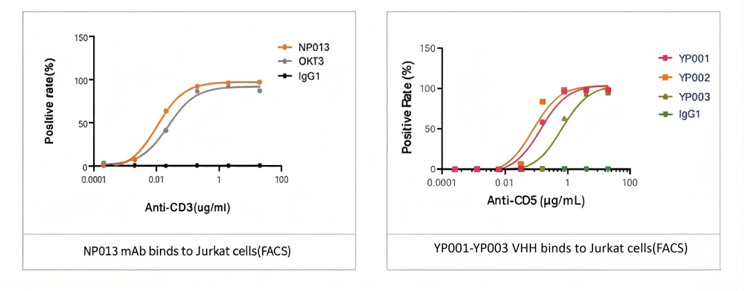 从序列设计到功能验证：RNA-tLNP技术驱动 in vivo CAR-T 高效开发-公司新闻-苏州近岸蛋白质科技股份有限公司