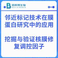 邻近标记技术在膜蛋白研究中的应用：挖掘与验证核膜修复调控因子