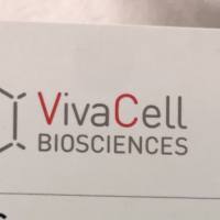 VivaCell货号C3541-0010秋水酰胺溶液[Colcemid(Demecolcine) Solution 10μg/ml]上海睿安生物VivaCell(原BI)官方正式授权代理商19121878899