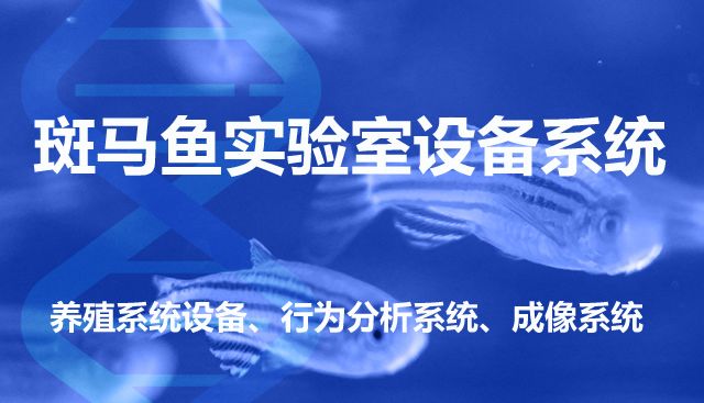斑马鱼水质急性毒性监测能力建设服务方案 /新国标HJ1455标准
