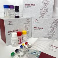 斑马鱼（Zebrafish）神经营养因子（BDNF）ELISA检测试剂盒