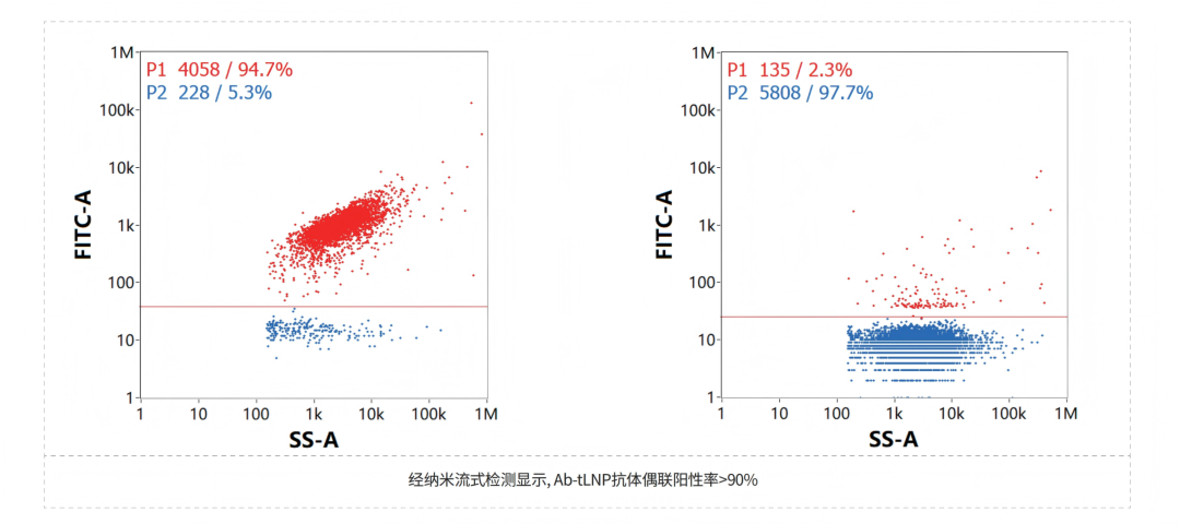 从序列设计到功能验证：RNA-tLNP技术驱动 in vivo CAR-T 高效开发-公司新闻-苏州近岸蛋白质科技股份有限公司