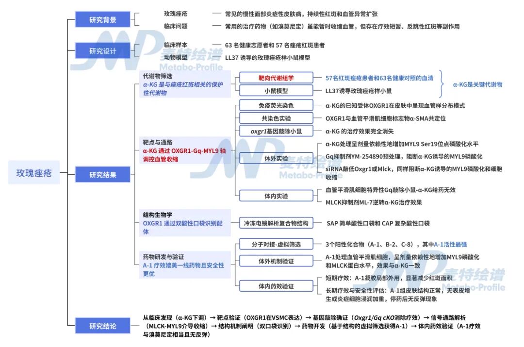 客户案例 | Cell重磅！代谢物α-KG化身血管 “智能开关”——破解玫瑰痤疮治疗困局