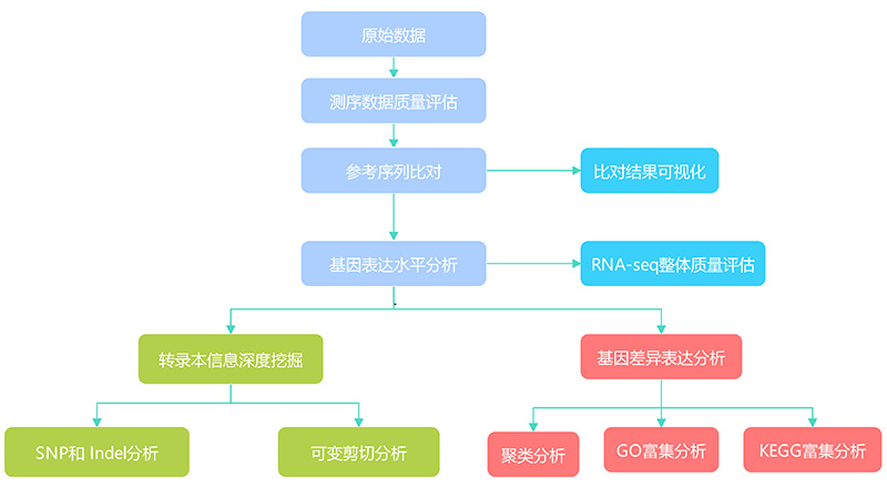 产品细节图片1
