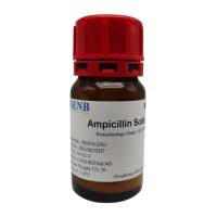 氨苄 青霉素钠