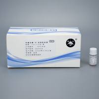 布鲁氏*菌“R”型阳性血清