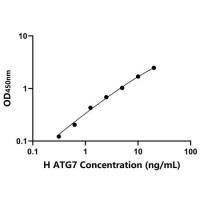 人自噬相关蛋白7(ATG7)ELISA试剂盒