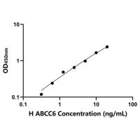 人ATP结合盒转运蛋白C6(ABCC6)ELISA试剂盒