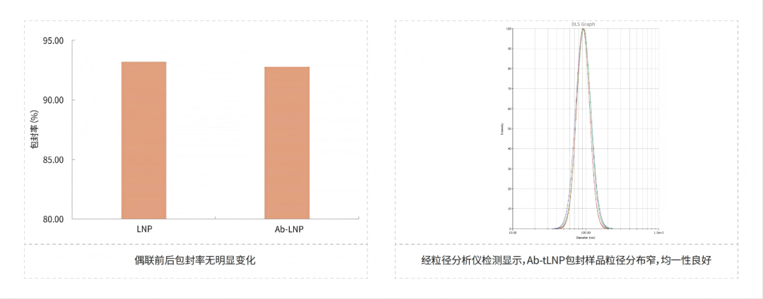 从序列设计到功能验证：RNA-tLNP技术驱动 in vivo CAR-T 高效开发-公司新闻-苏州近岸蛋白质科技股份有限公司