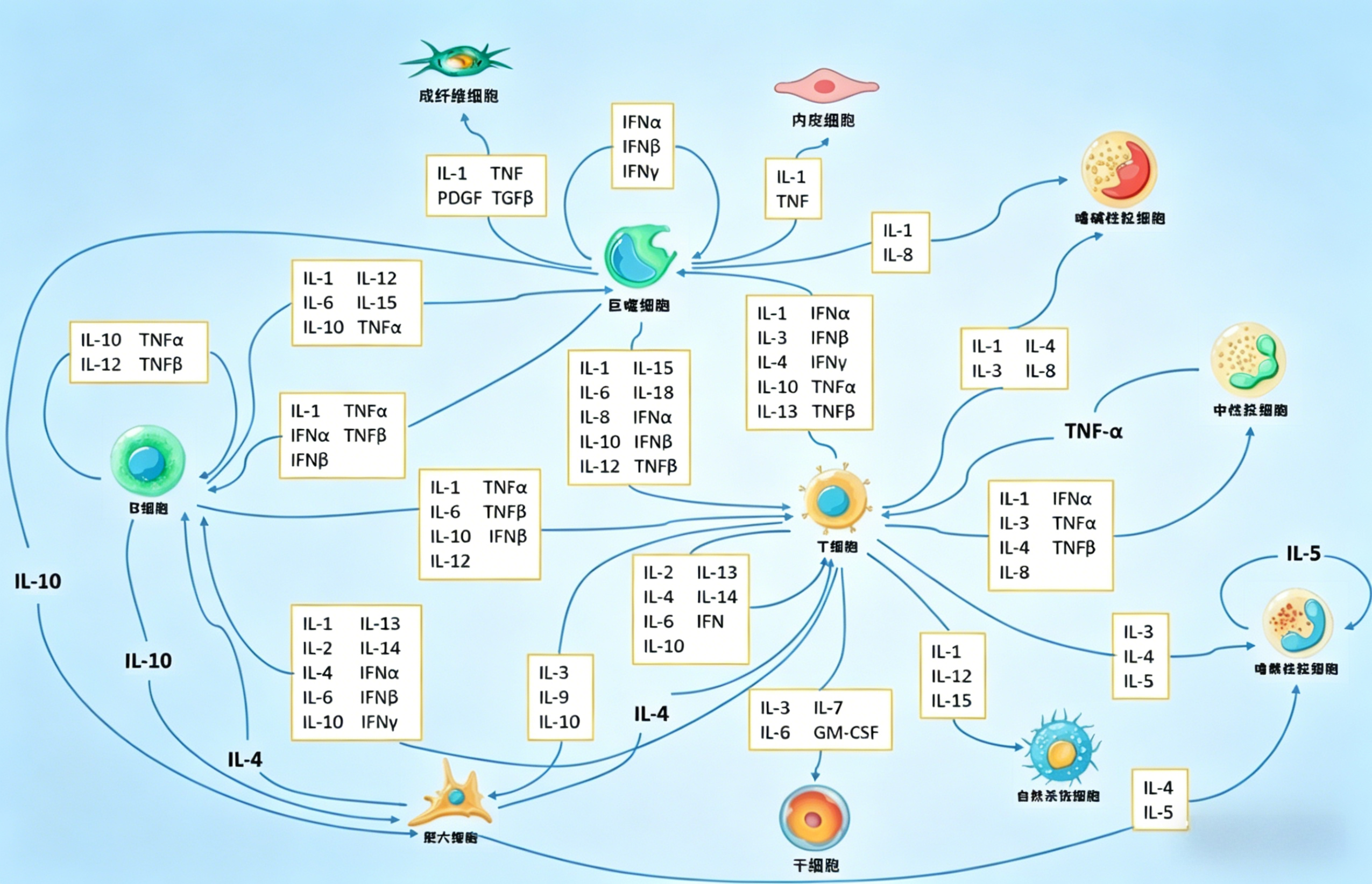 【每日皆可乐】细胞因子聚焦：白细胞介素中的促炎“先锋军”