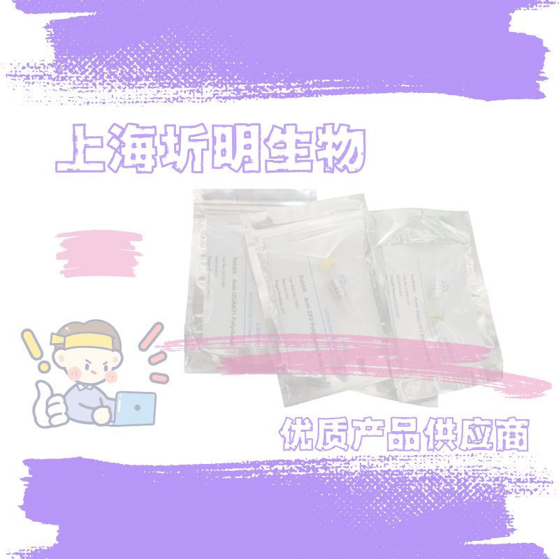 CD38/ADPRC 1活性蛋白, N-His,Human