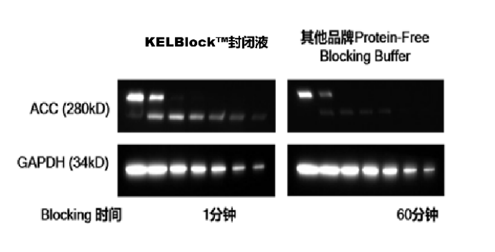 技术资料图片1