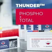 THUNDER™ Phospho-GSK3β (S9) + Total GSK3β TR-FRET