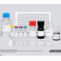 Abcam/艾博抗 人IL-6 ELISA 试剂盒