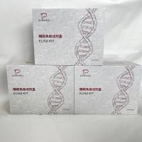 植物（Plant）茉莉酸甲酯（MeJA）ELISA检测试剂盒