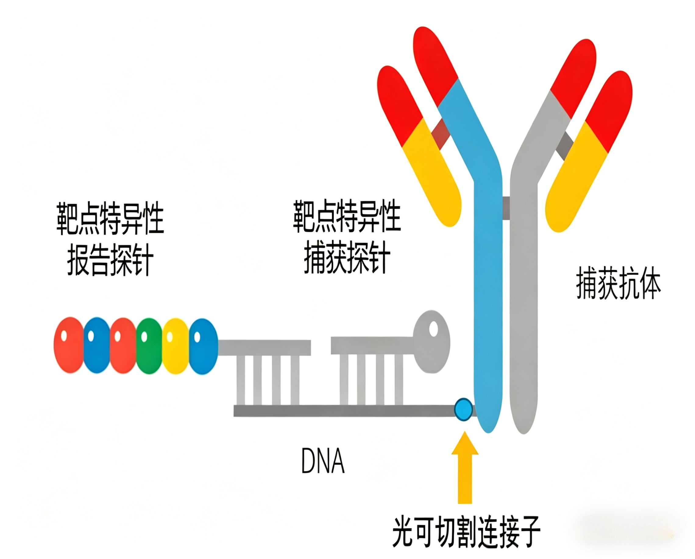 新闻图片3