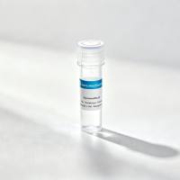 GMTrans LipoBooster 转染试剂