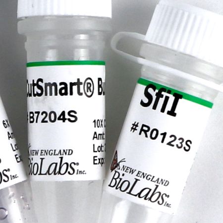 SfiI