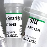 SfiI