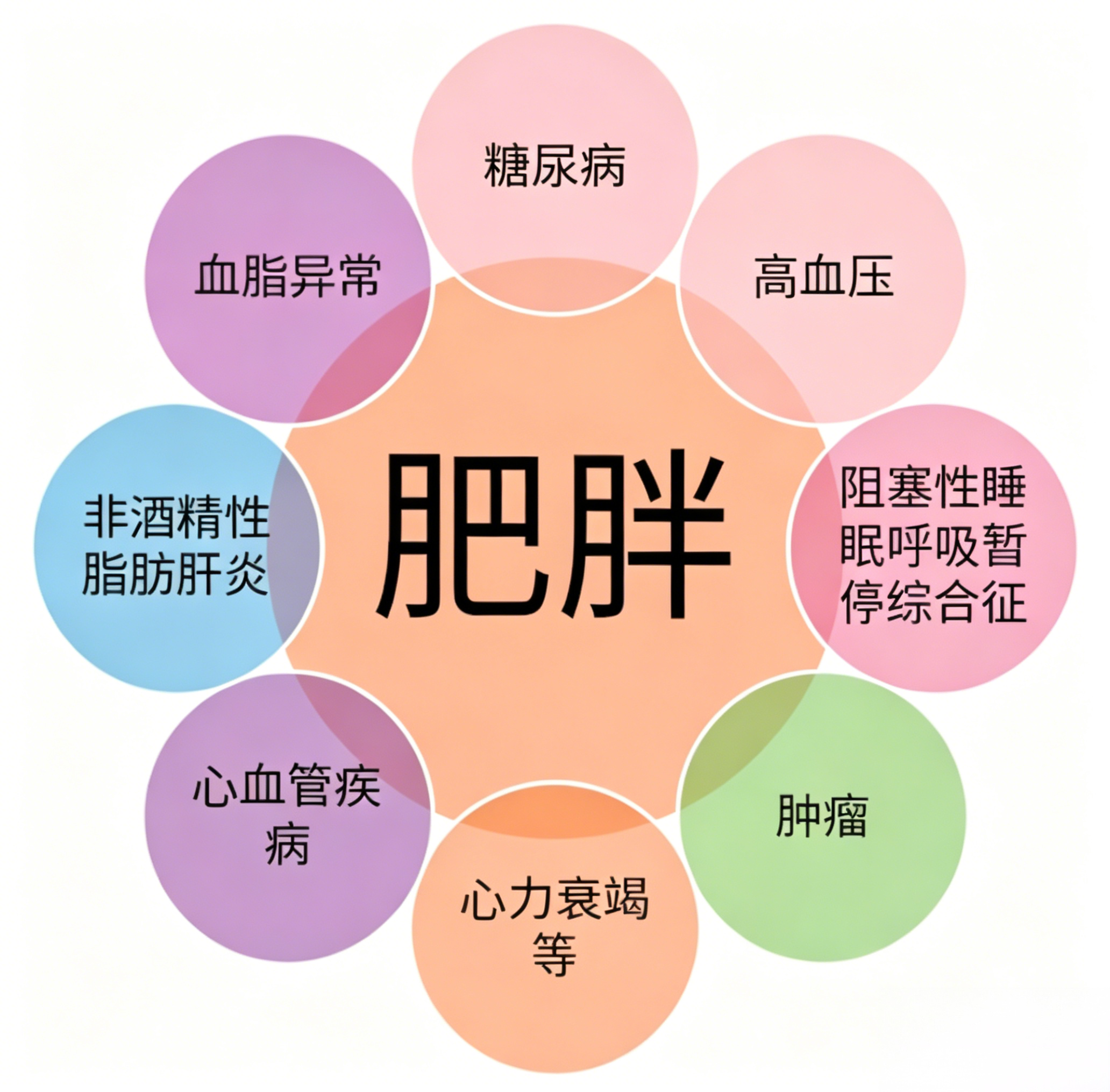 【每日皆可乐】肥胖生物标志物筛选与鉴定，一键搞定！