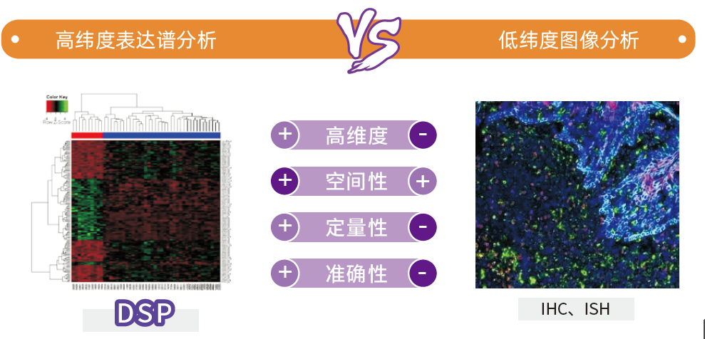 新闻图片4