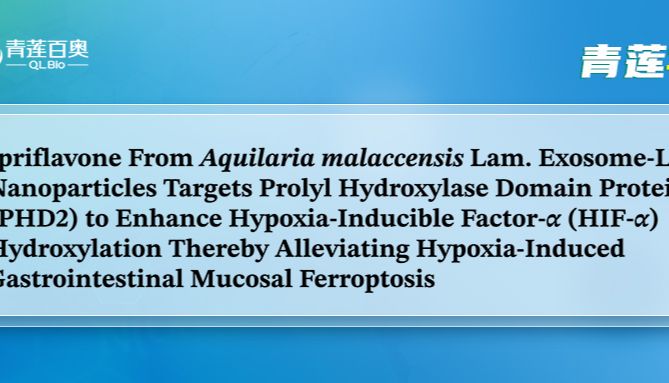 项目文章MedComm (IF=10.7) | 解放军总医院&amp;清华大学：LiP-MS 助力解析高原胃肠损伤“老药新用”新靶点