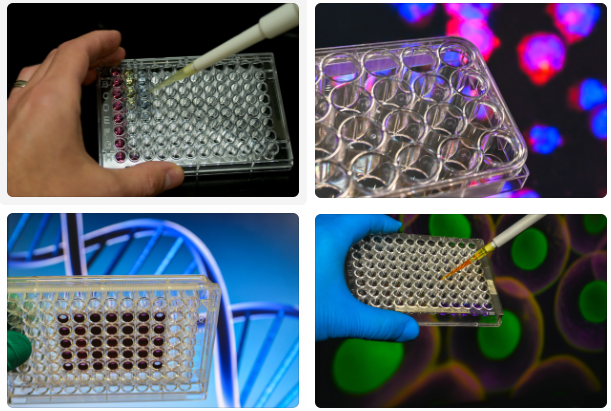 竞争法ELISA标准曲线多久更新一次