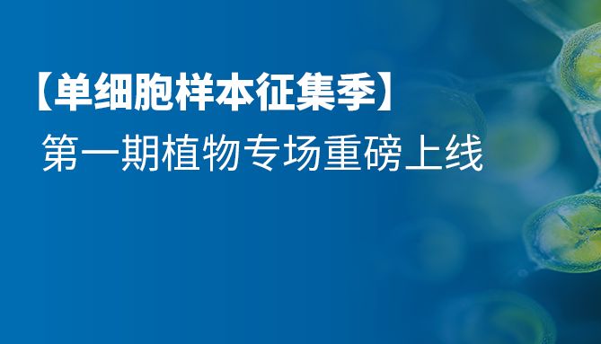 【样本征集季】植物单细胞样本攻坚计划！探寻植物奥秘，共筑绿色未来