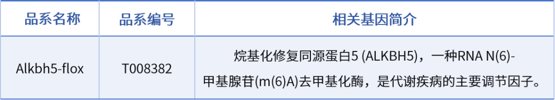 8382.png