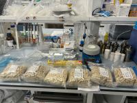 45 kcal%脂肪热量高脂鼠粮,含20%抗性淀粉（45 kcal% High Fat Rodent Diet with 20% Resistant Starch)