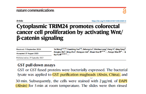 突破 CRC 治疗困局：胞质 TRIM24 促癌机制揭示，开辟精准靶向新路径